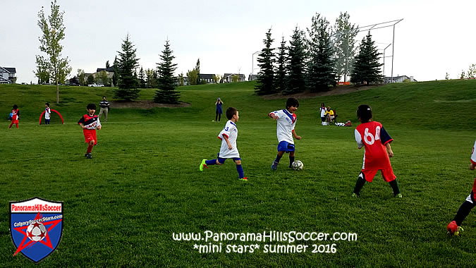 panorama-hills-mini-stars-summer-soccer-00027