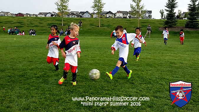 panorama-hills-mini-stars-summer-soccer-00028