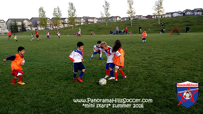 panorama-hills-mini-stars-summer-soccer-00036