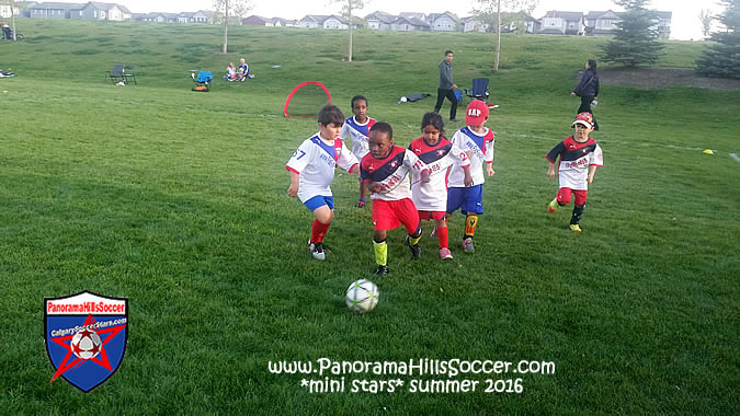 panorama-hills-mini-stars-summer-soccer-00039