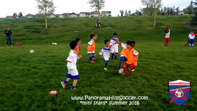 panorama-hills-mini-stars-summer-soccer-00040