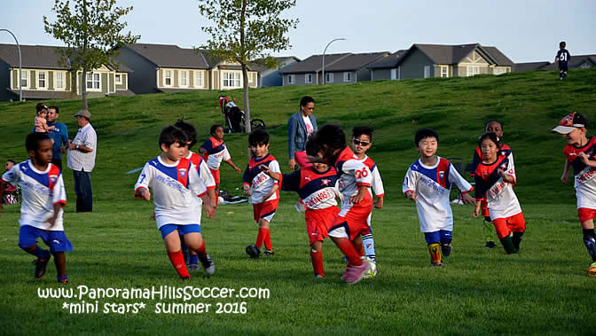 panorama-hills-mini-stars-summer-soccer-0007