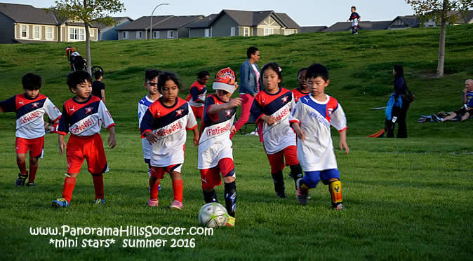 panorama-hills-mini-stars-summer-soccer-0008