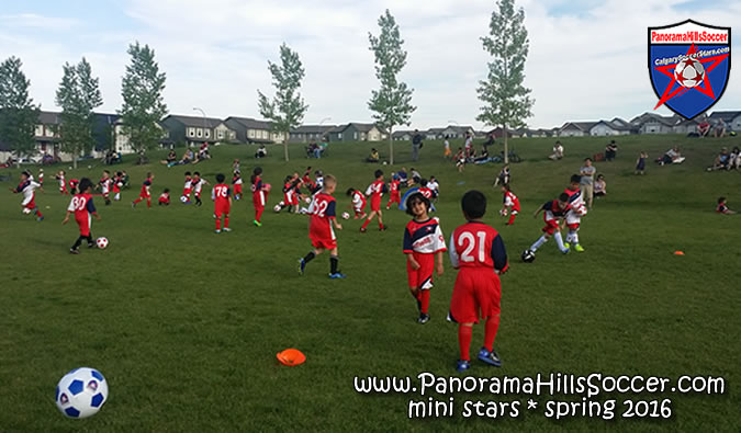 panorama-hills-mini-stars2016spring19