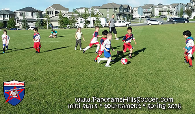 panorama-hills-soccer-mini-stars-tournament-16-03