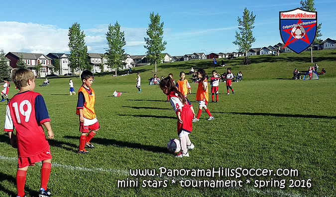 panorama-hills-soccer-mini-stars-tournament-16-05