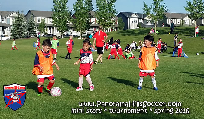 panorama-hills-soccer-mini-stars-tournament-16-09