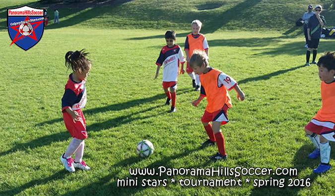 panorama-hills-soccer-mini-stars-tournament-16-11