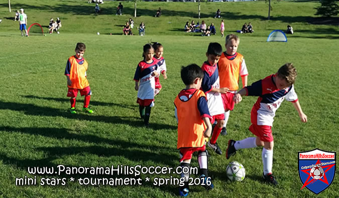 panorama-hills-soccer-mini-stars-tournament-16-17