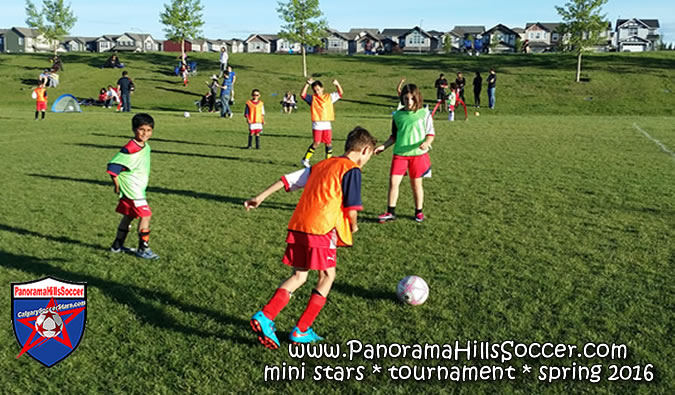 panorama-hills-soccer-mini-stars-tournament-16-21