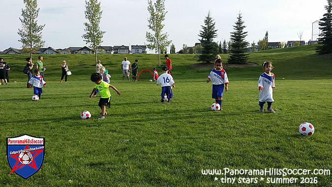 panorama-hills-soccer-tiny-stars-summer-03