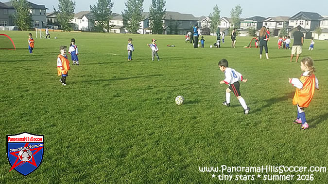 panorama-hills-soccer-tiny-stars-summer-07