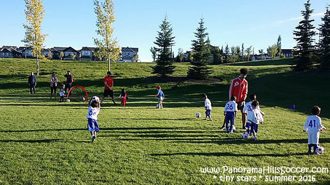 panorama-hills-soccer-tiny-stars-summer-09