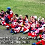 panorama-hills-soccer-tiny-stars