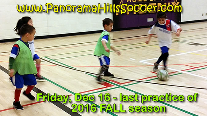 panorama-hills-soccer-stars-timbits-nw