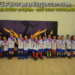 2016 fall panorama soccer tournament - mini stars