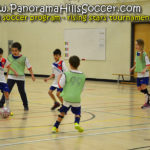 Panorama Hills tournament - rising stars