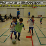 2016 fall panorama soccer tournament - mini stars