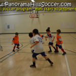 2016 fall panorama soccer tournament - mini stars