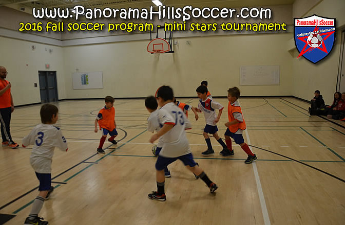 2016 fall panorama soccer tournament - mini stars