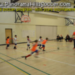 2016 fall panorama soccer tournament - mini stars