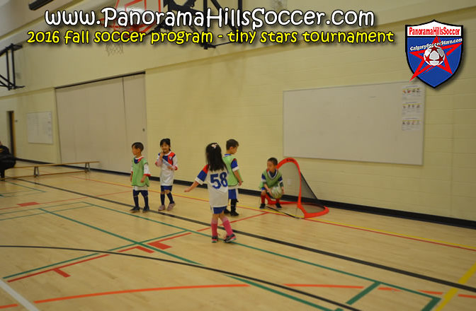 2016 fall panorama soccer tournament - mini stars