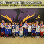 TINY soccer Stars 3-4 years,  panorama calgary soccer tournament