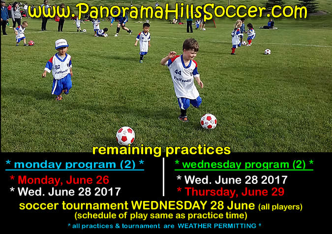 panorama-hills-soccer-for-kids--spring-tournament