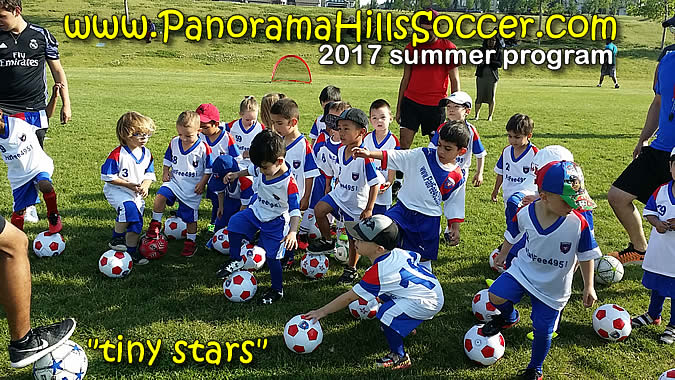 panorama-hills-summer-soccer-for-kids-timbits