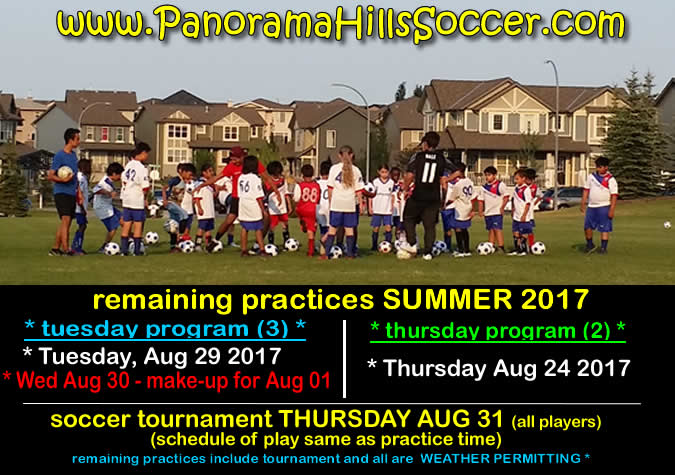 panorama-hills-soccer-for-kids--summer-tournament-for-kids
