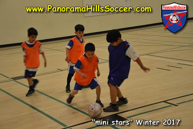 panorama-hills-calgary-soccer-stars-kids-timbits-122