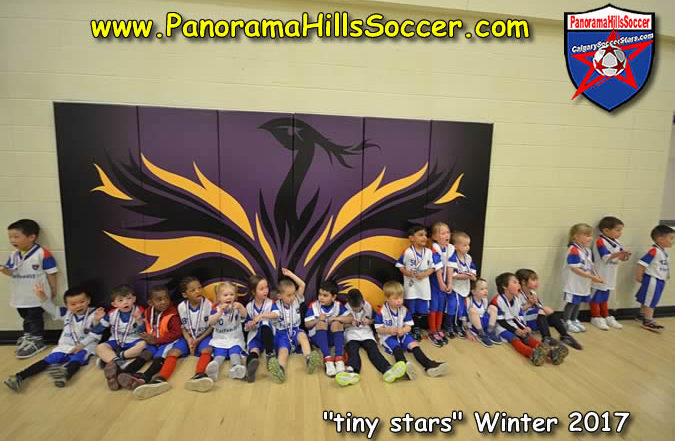 panorama hills indoor soccer calgary soccer stars tiny stars