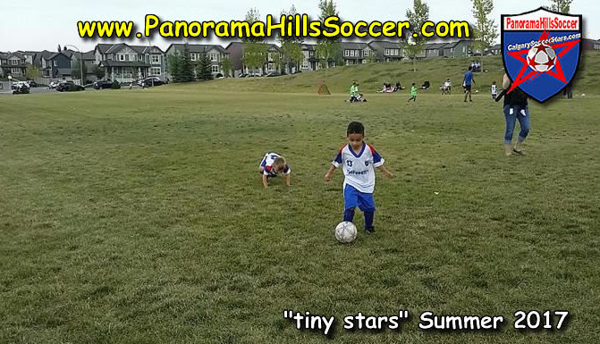 kincora calgary soccer for kids, evanston soccer for kids