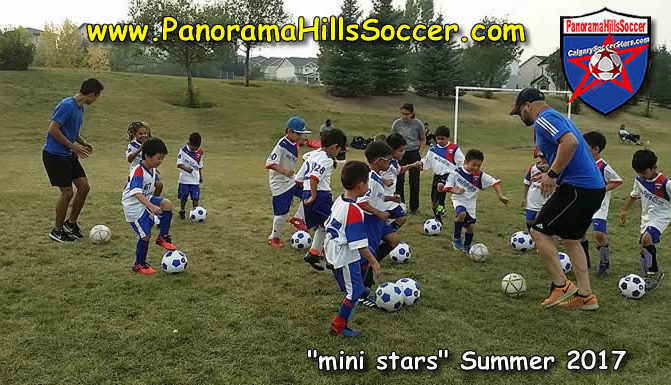 calgary nw soccer for kids, soccer stars