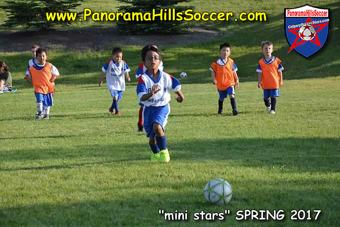 spring-soccer-panorama-hills-mini-stars-