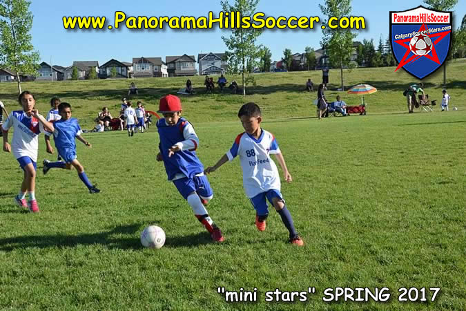 spring-soccer-panorama-hills-mini-stars- (21)