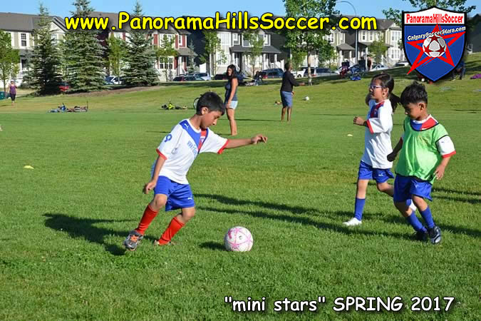 spring-soccer-panorama-hills-mini-stars- (25)