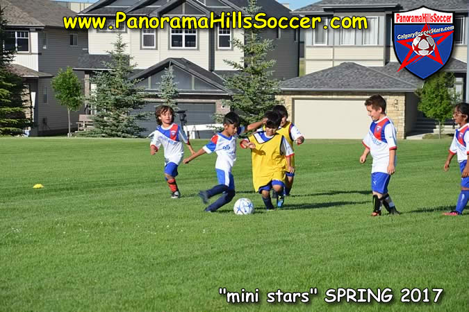 spring-soccer-panorama-hills-mini-stars- (28)