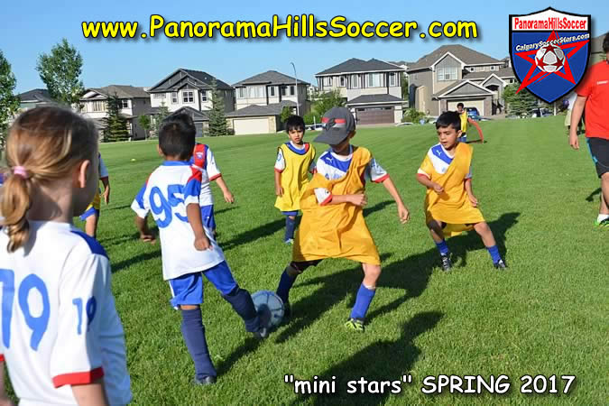 spring-soccer-panorama-hills-mini-stars- (29)