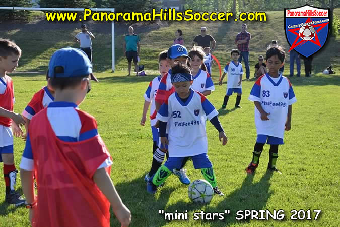 spring-soccer-panorama-hills-mini-stars- (33)