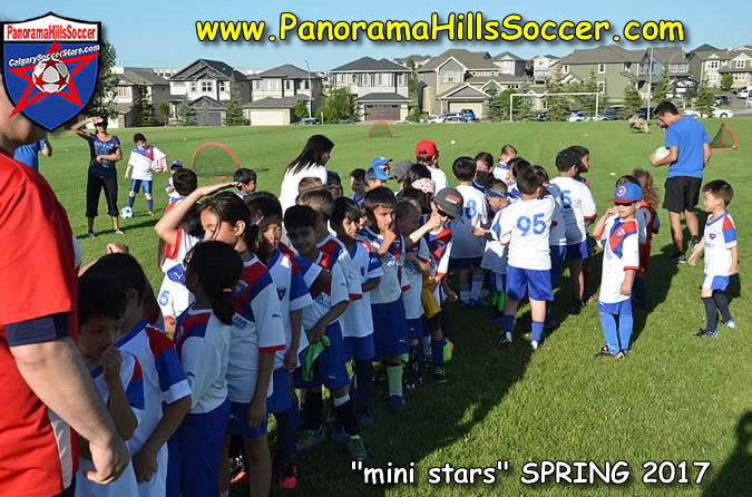 calgary soccer stars, panorama hills soccer