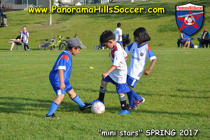 spring-soccer-panorama-hills-mini-stars- (6)