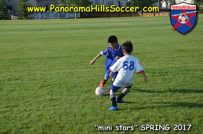 calgary soccer stars, panorama hills soccer
