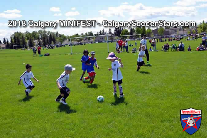 calgary-soccer-stars-minifest-timbits-07