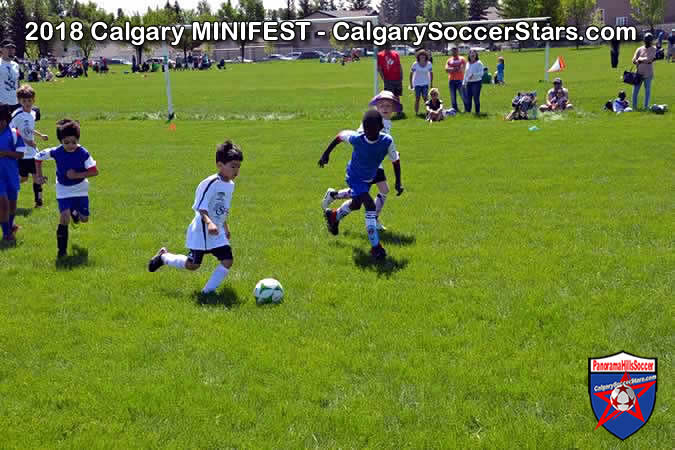 calgary-soccer-stars-minifest-timbits-08