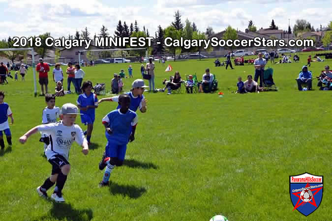 calgary-soccer-stars-minifest-timbits-09