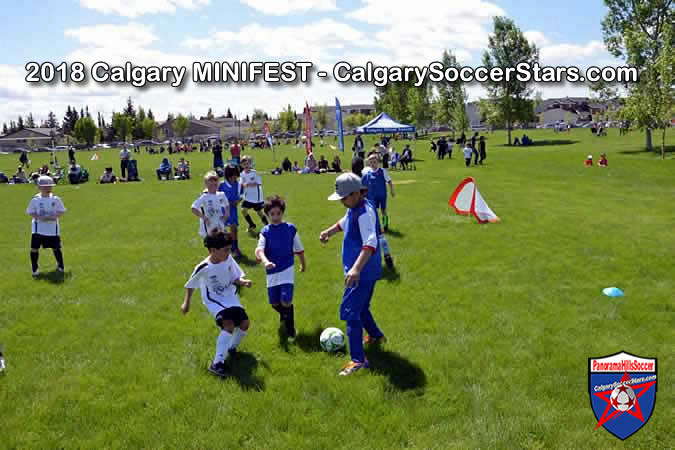 calgary-soccer-stars-minifest-timbits-11