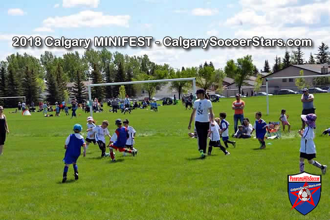 calgary-soccer-stars-minifest-timbits-14