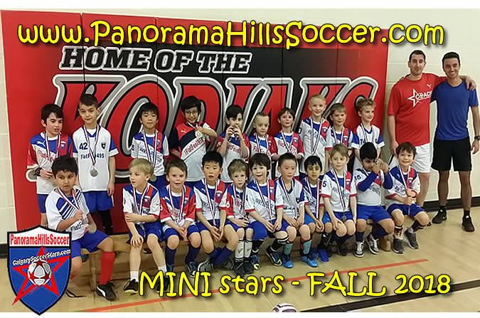 calgary-soccer-stars-timbits-indoor-011